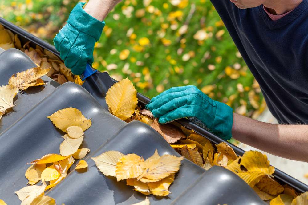 Contactleaves-eaves-cleaning-gutter-blocked-autumn